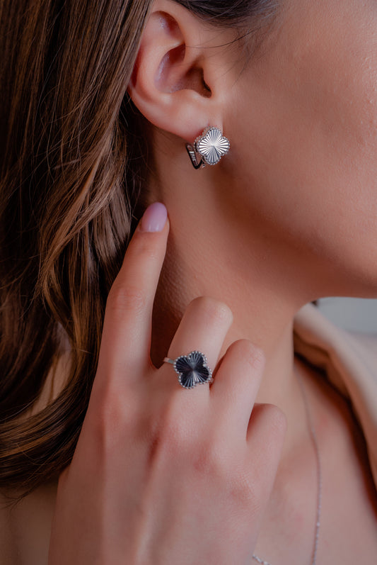 Сребрен Сет S2